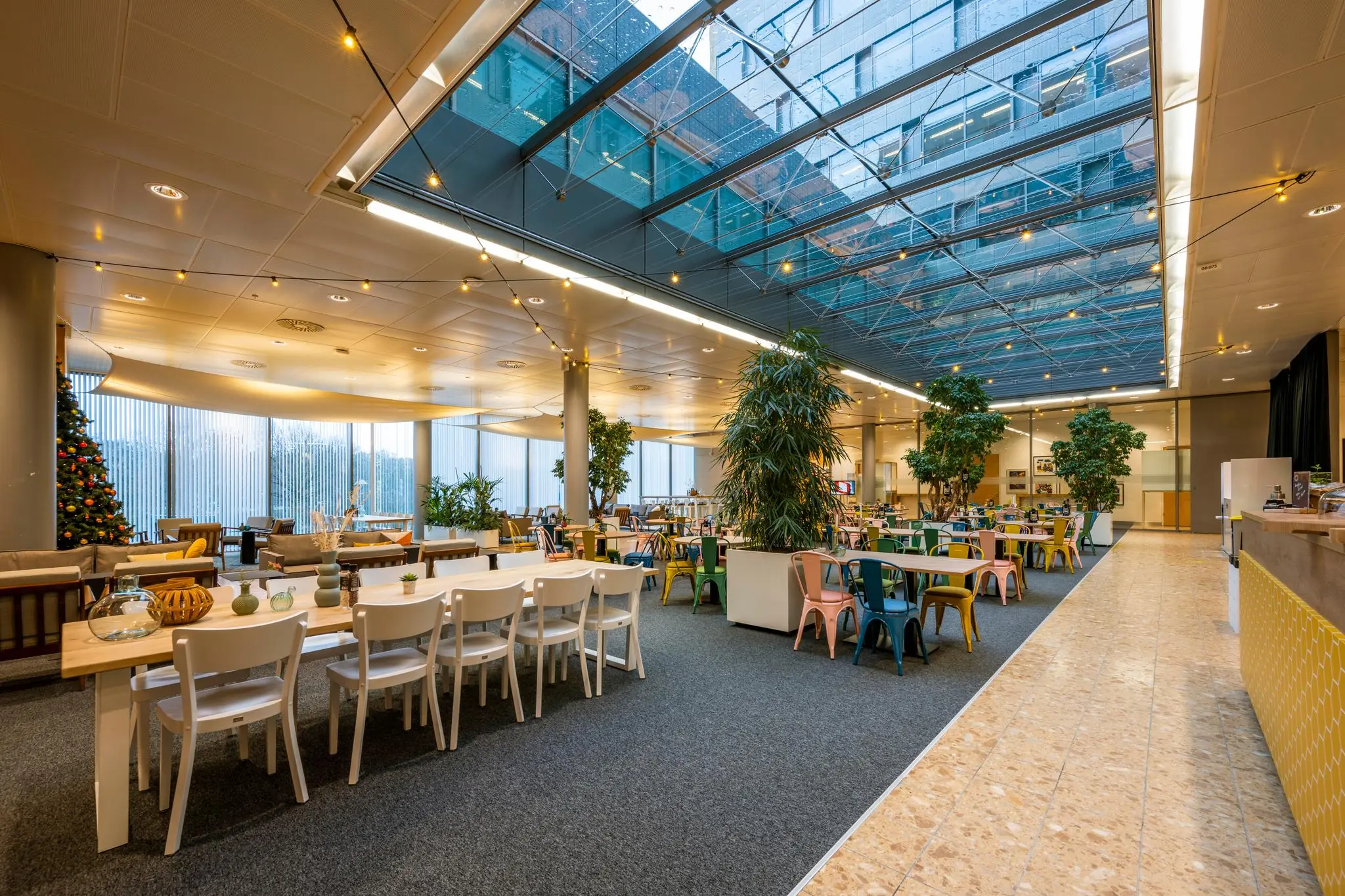 Moderne, open bedrijfsrestaurant aan de Burgemeester Rijnderslaan met veel daglicht, kleurrijke stoelen en groene planten onder een glazen dak.